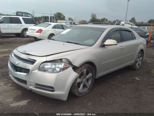 Photo 1 VIN: 1G1ZC5EU0BF363284 - CHEVROLET MALIBU 