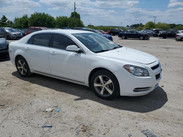 Photo 3 VIN: 1G1ZC5EU1BF162977 - CHEVROLET MALIBU 