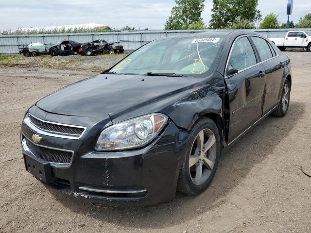 Photo 1 VIN: 1G1ZC5EU1BF334411 - CHEVROLET MALIBU 1LT 