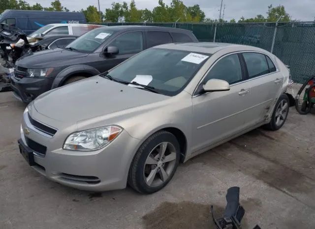 Photo 1 VIN: 1G1ZC5EU1BF367005 - CHEVROLET MALIBU 