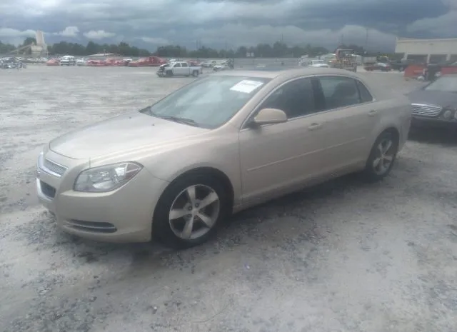 Photo 1 VIN: 1G1ZC5EU1BF391594 - CHEVROLET MALIBU 