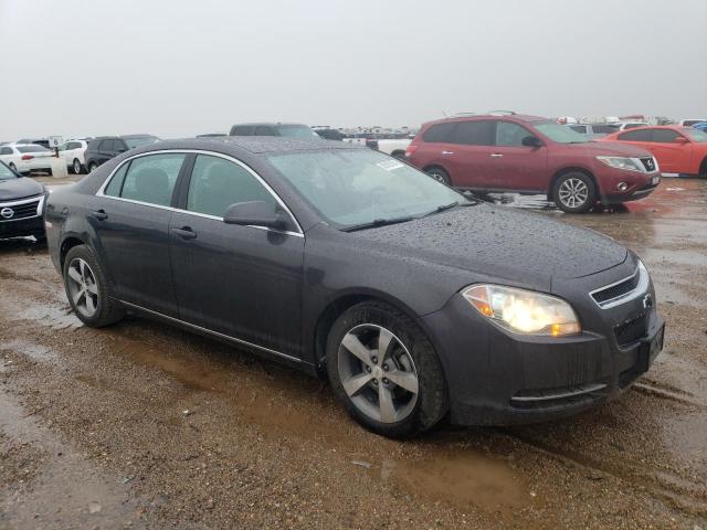 Photo 3 VIN: 1G1ZC5EU2BF162566 - CHEVROLET MALIBU 