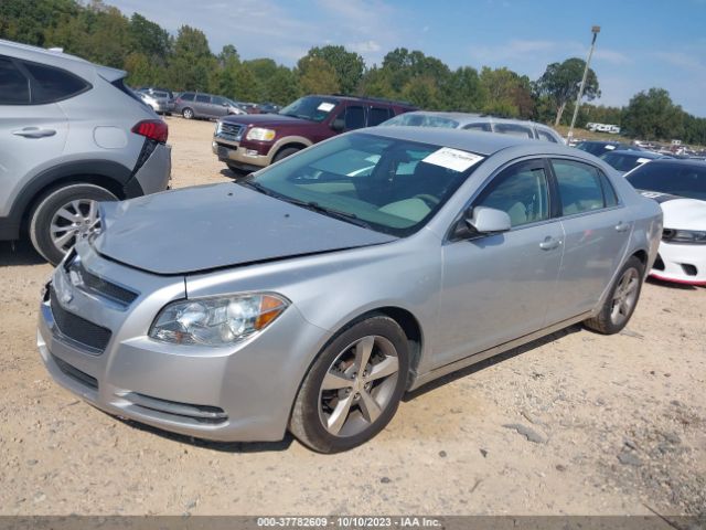 Photo 1 VIN: 1G1ZC5EU2BF195227 - CHEVROLET MALIBU 