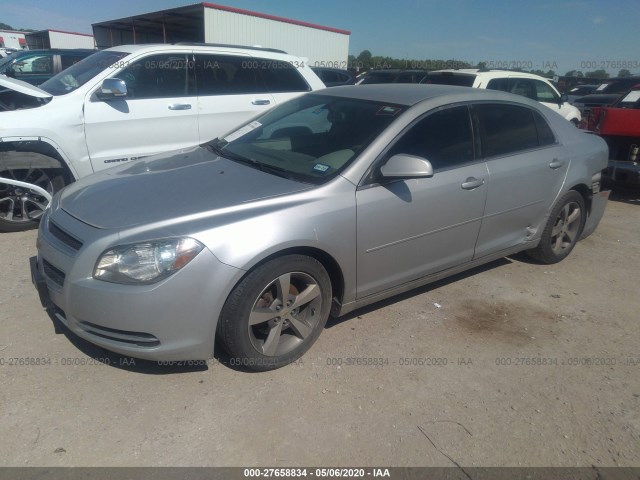 Photo 1 VIN: 1G1ZC5EU2BF242594 - CHEVROLET MALIBU 