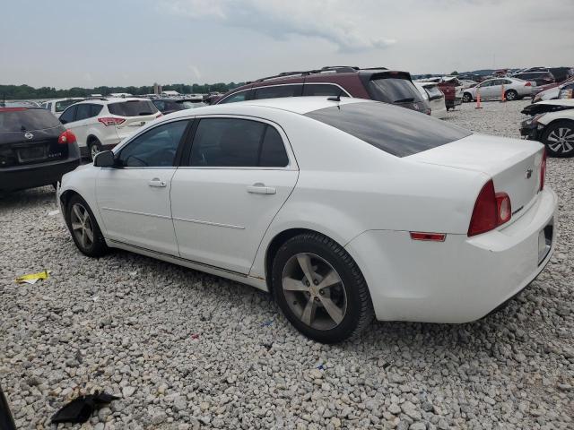 Photo 1 VIN: 1G1ZC5EU2BF328651 - CHEVROLET MALIBU 