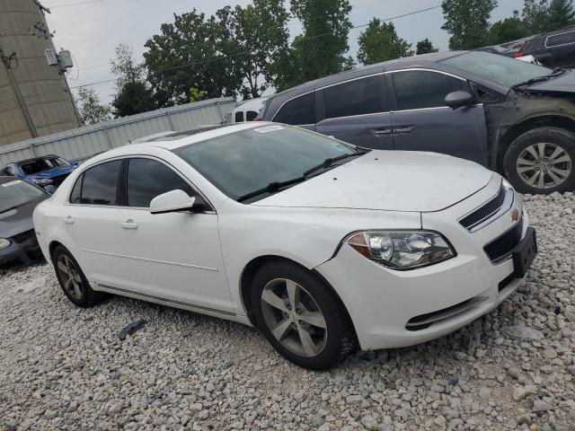 Photo 3 VIN: 1G1ZC5EU2BF328651 - CHEVROLET MALIBU 