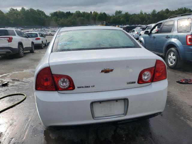 Photo 5 VIN: 1G1ZC5EU2BF361942 - CHEVROLET MALIBU 1LT 