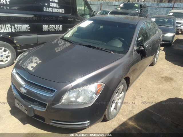 Photo 1 VIN: 1G1ZC5EU3BF100920 - CHEVROLET MALIBU 