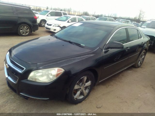 Photo 1 VIN: 1G1ZC5EU3BF108659 - CHEVROLET MALIBU 