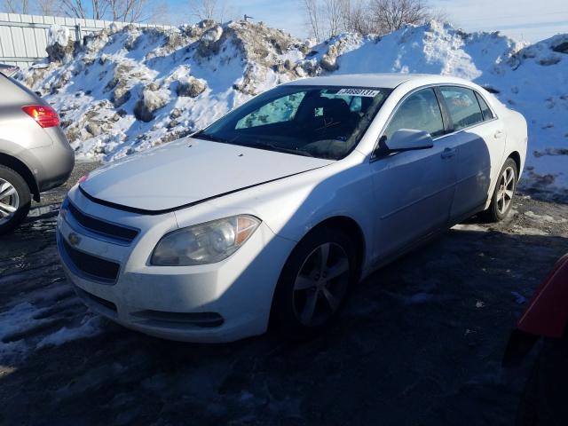 Photo 1 VIN: 1G1ZC5EU3BF110542 - CHEVROLET MALIBU 1LT 