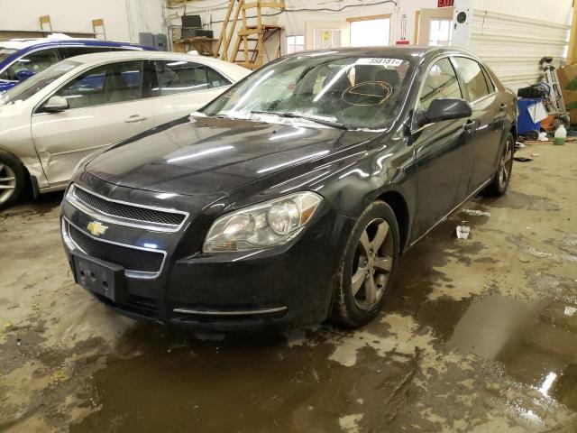 Photo 1 VIN: 1G1ZC5EU3BF159739 - CHEVROLET MALIBU 