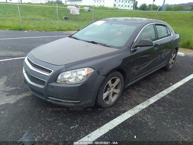 Photo 1 VIN: 1G1ZC5EU3BF174211 - CHEVROLET MALIBU 