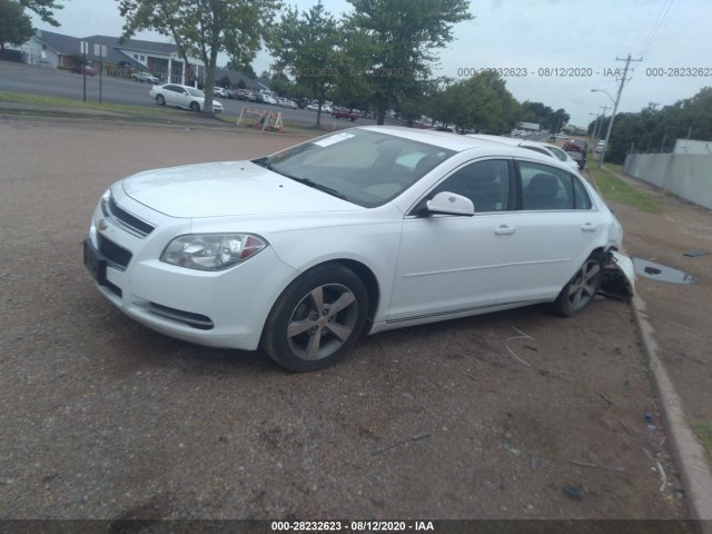 Photo 1 VIN: 1G1ZC5EU3BF245634 - CHEVROLET MALIBU 