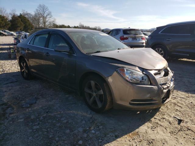 Photo 3 VIN: 1G1ZC5EU3BF368429 - CHEVROLET MALIBU 