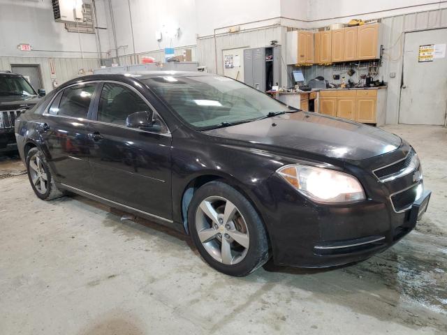 Photo 3 VIN: 1G1ZC5EU4BF110517 - CHEVROLET MALIBU 