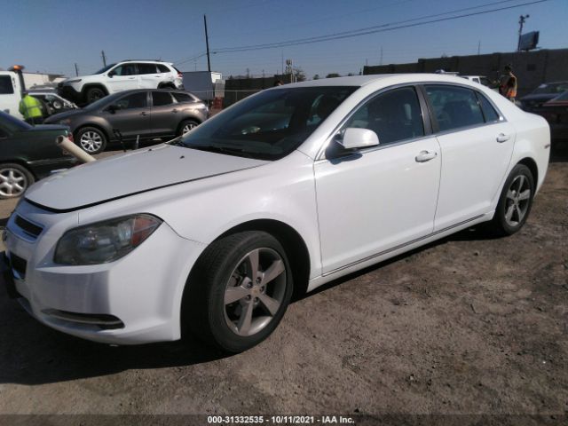 Photo 1 VIN: 1G1ZC5EU4BF171950 - CHEVROLET MALIBU 