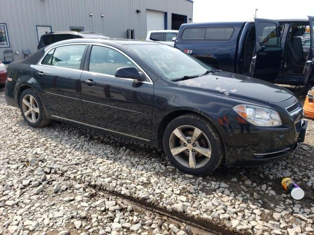 Photo 3 VIN: 1G1ZC5EU4BF245738 - CHEVROLET MALIBU 