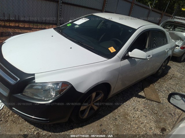 Photo 1 VIN: 1G1ZC5EU5BF146541 - CHEVROLET MALIBU 