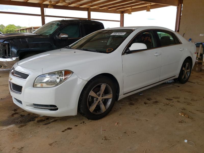 Photo 1 VIN: 1G1ZC5EU5BF288565 - CHEVROLET MALIBU 1LT 