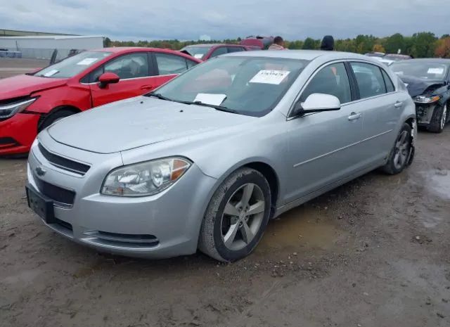 Photo 1 VIN: 1G1ZC5EU5BF300973 - CHEVROLET MALIBU 