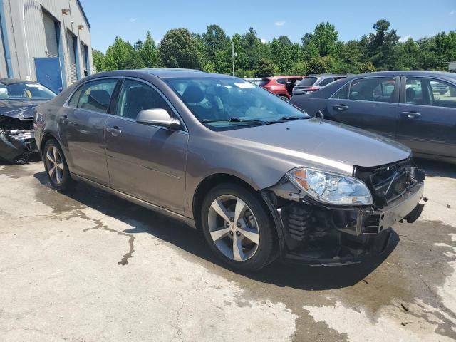 Photo 3 VIN: 1G1ZC5EU5BF391503 - CHEVROLET MALIBU 