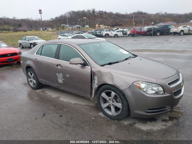 Photo 0 VIN: 1G1ZC5EU6BF169519 - CHEVROLET MALIBU 