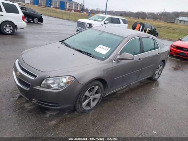 Photo 1 VIN: 1G1ZC5EU6BF169519 - CHEVROLET MALIBU 