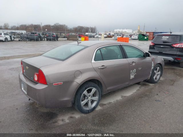 Photo 3 VIN: 1G1ZC5EU6BF169519 - CHEVROLET MALIBU 