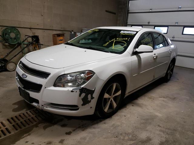 Photo 1 VIN: 1G1ZC5EU6BF192816 - CHEVROLET MALIBU 1LT 