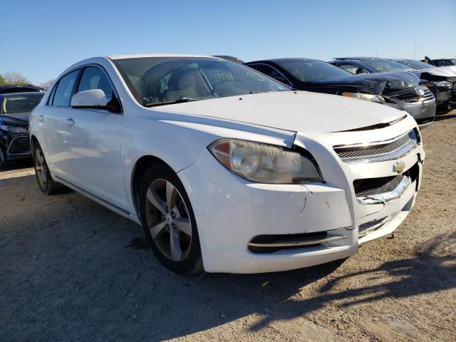 Photo 3 VIN: 1G1ZC5EU6BF290521 - CHEVROLET MALIBU 1LT 