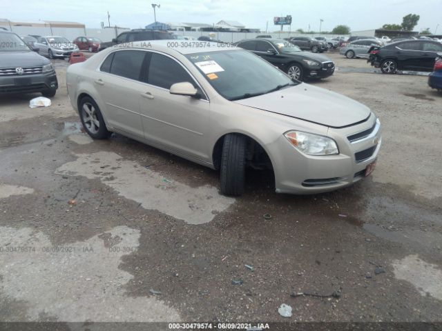 Photo 5 VIN: 1G1ZC5EU6BF290972 - CHEVROLET MALIBU 