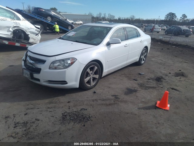 Photo 1 VIN: 1G1ZC5EU7BF107806 - CHEVROLET MALIBU 