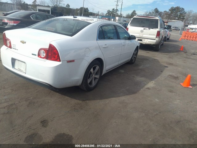 Photo 3 VIN: 1G1ZC5EU7BF107806 - CHEVROLET MALIBU 