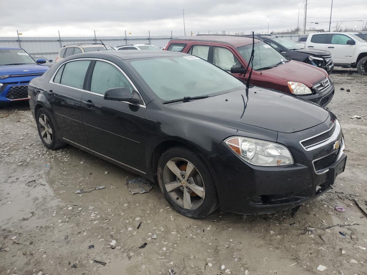 Photo 3 VIN: 1G1ZC5EU7BF323221 - CHEVROLET MALIBU 