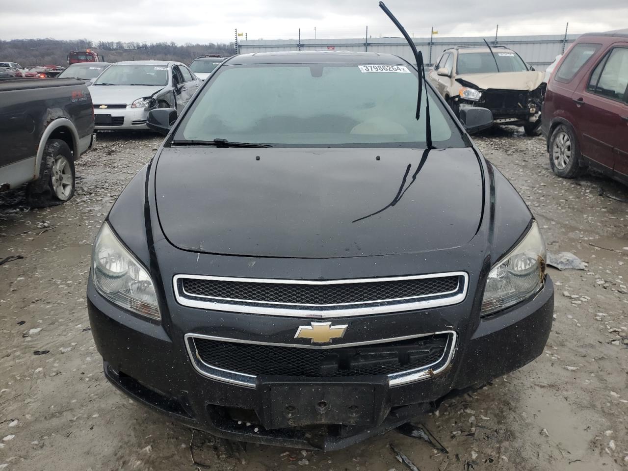 Photo 4 VIN: 1G1ZC5EU7BF323221 - CHEVROLET MALIBU 