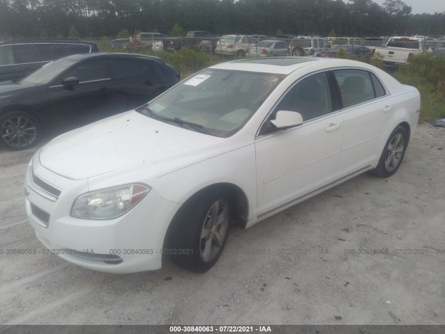 Photo 1 VIN: 1G1ZC5EU7BF399795 - CHEVROLET MALIBU 