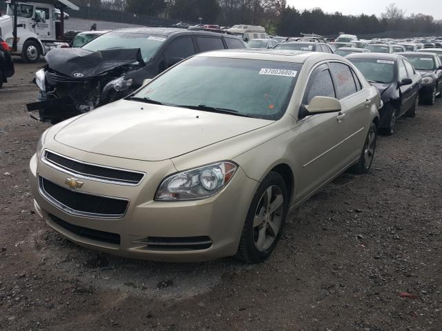 Photo 1 VIN: 1G1ZC5EU8BF115249 - CHEVROLET MALIBU 1LT 