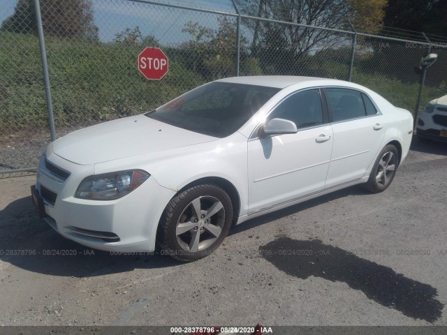 Photo 1 VIN: 1G1ZC5EU8BF136232 - CHEVROLET MALIBU 