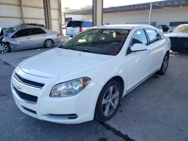 Photo 1 VIN: 1G1ZC5EU8BF140068 - CHEVROLET MALIBU 