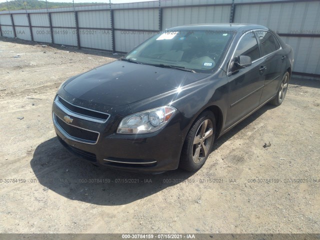 Photo 1 VIN: 1G1ZC5EU8BF338665 - CHEVROLET MALIBU 