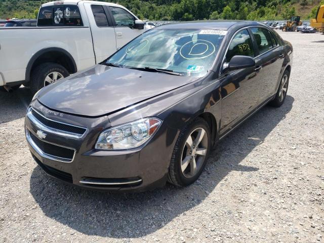 Photo 1 VIN: 1G1ZC5EU9BF146204 - CHEVROLET MALIBU 1LT 