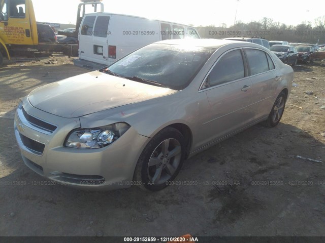 Photo 1 VIN: 1G1ZC5EU9BF320188 - CHEVROLET MALIBU 