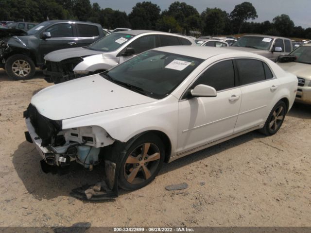 Photo 1 VIN: 1G1ZC5EU9BF326346 - CHEVROLET MALIBU 