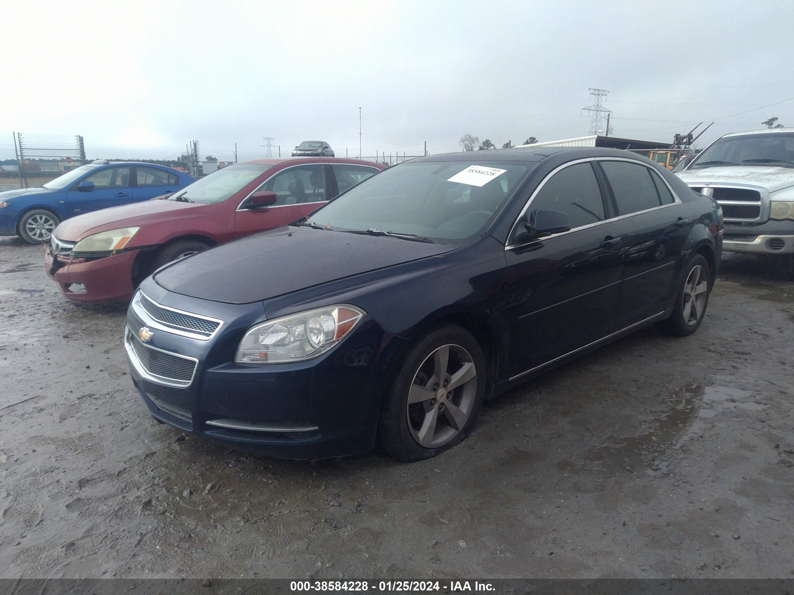 Photo 1 VIN: 1G1ZC5EU9BF331921 - CHEVROLET MALIBU 