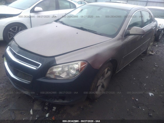 Photo 1 VIN: 1G1ZC5EU9CF159634 - CHEVROLET MALIBU 