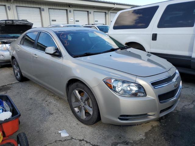 Photo 3 VIN: 1G1ZC5EUXBF102843 - CHEVROLET MALIBU 1LT 