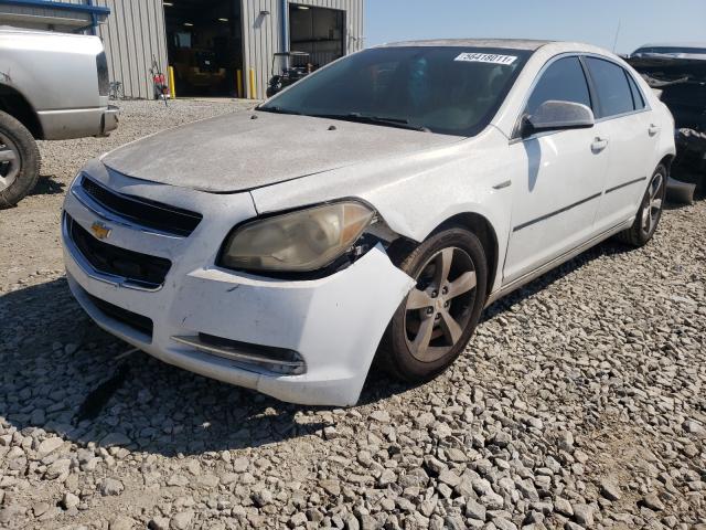 Photo 1 VIN: 1G1ZC5EUXBF146907 - CHEVROLET MALIBU 1LT 