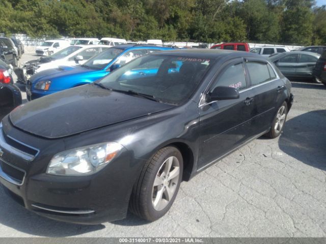 Photo 1 VIN: 1G1ZC5EUXBF173590 - CHEVROLET MALIBU 