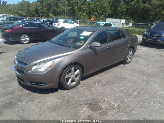 Photo 1 VIN: 1G1ZC5EUXBF181849 - CHEVROLET MALIBU 