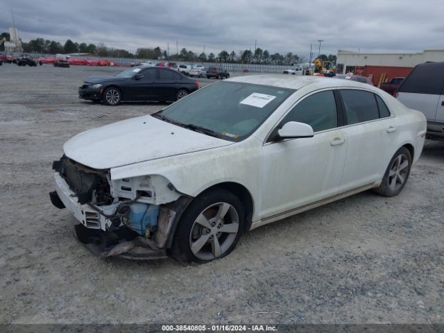 Photo 1 VIN: 1G1ZC5EUXBF194505 - CHEVROLET MALIBU 